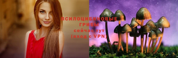 крисы Заводоуковск