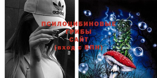 крисы Заводоуковск