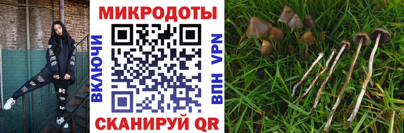 Купить закладки  Верещагино  Псилоцибиновые грибы Cubensis 